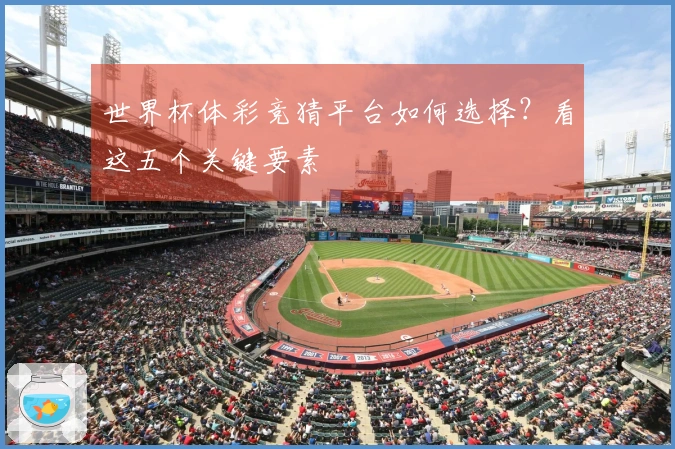 世界杯体彩竞猜平台如何选择？看这五个关键要素