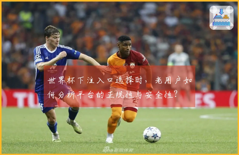 世界杯下注入口选择时，老用户如何分析平台的正规性与安全性？