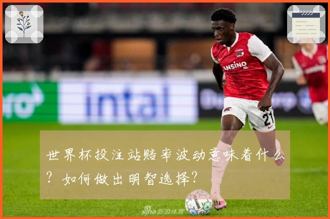 世界杯投注站赔率波动意味着什么？如何做出明智选择？
