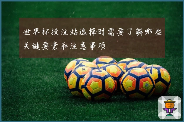 世界杯投注站选择时需要了解哪些关键要素和注意事项