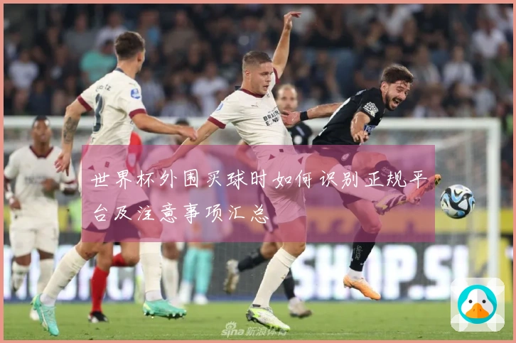 世界杯外围买球时如何识别正规平台及注意事项汇总