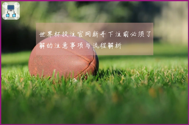 世界杯投注官网新手下注前必须了解的注意事项与流程解析