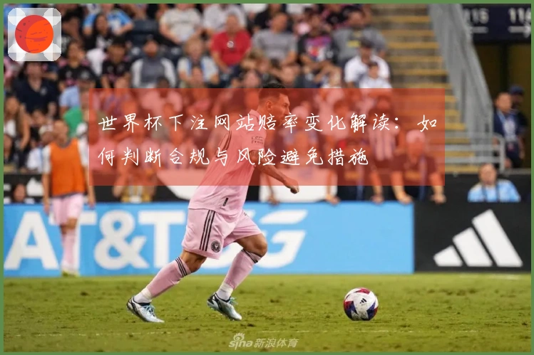 世界杯下注网站赔率变化解读：如何判断合规与风险避免措施