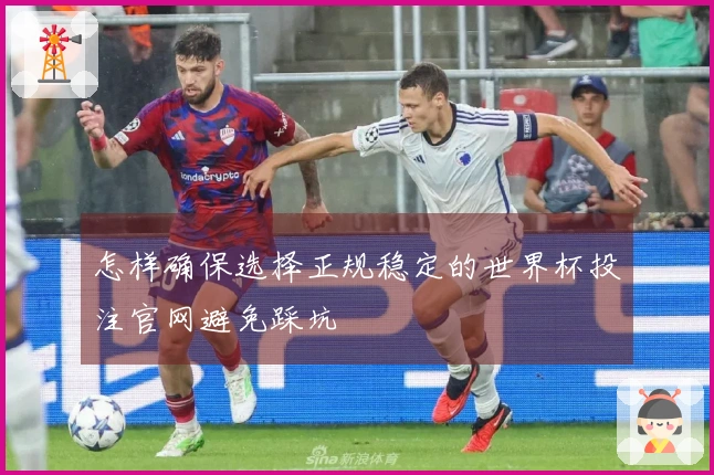 怎样确保选择正规稳定的世界杯投注官网避免踩坑