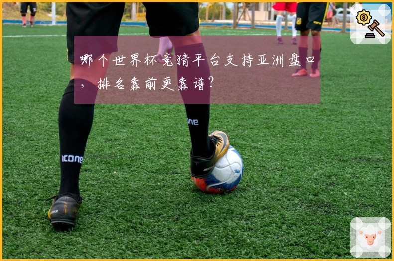 哪个世界杯竞猜平台支持亚洲盘口，排名靠前更靠谱？