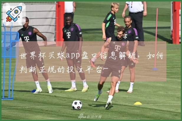 世界杯买球app盘口信息解析，如何判断正规的投注平台-
