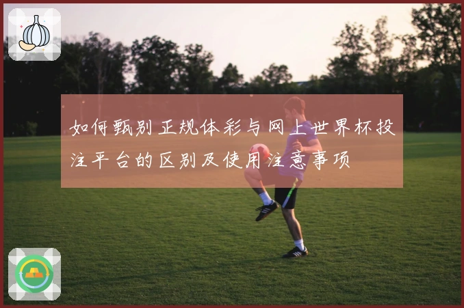 如何甄别正规体彩与网上世界杯投注平台的区别及使用注意事项