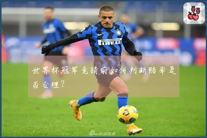 世界杯冠军竞猜前如何判断赔率是否合理？