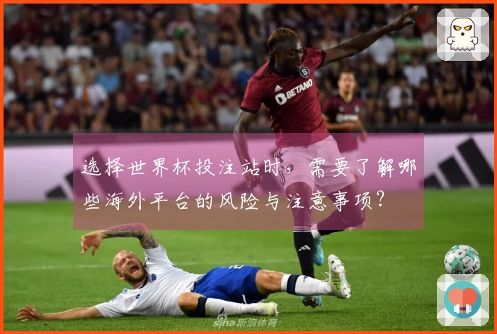 选择世界杯投注站时，需要了解哪些海外平台的风险与注意事项？
