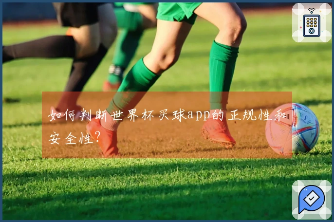 如何判断世界杯买球app的正规性和安全性？