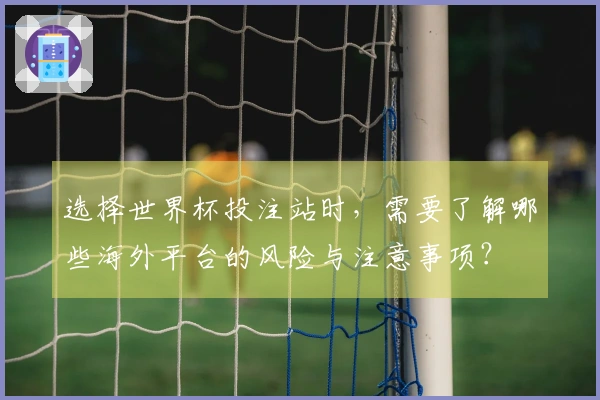 选择世界杯投注站时，需要了解哪些海外平台的风险与注意事项？