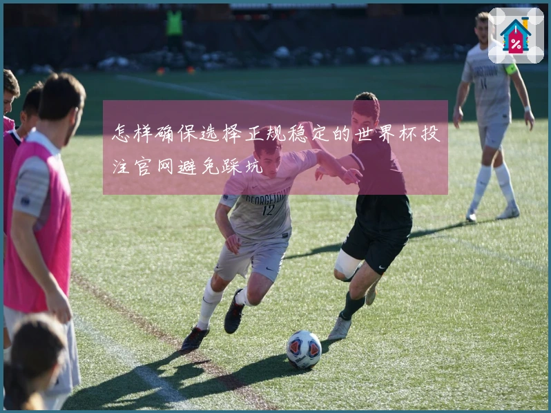 怎样确保选择正规稳定的世界杯投注官网避免踩坑